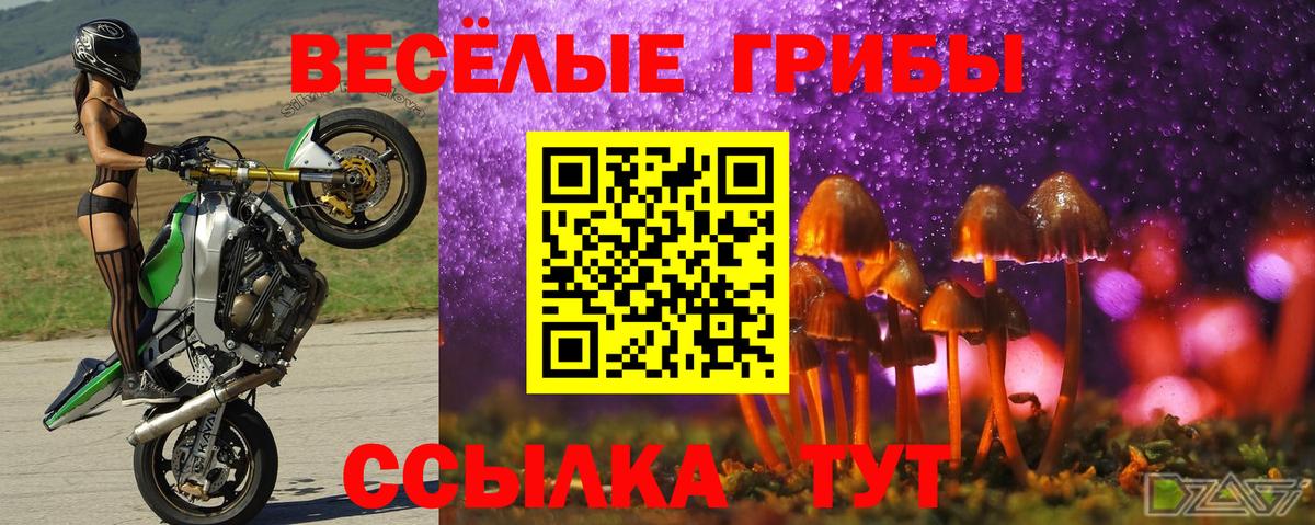 Галлюциногенные грибы мухоморы  где купить наркотик  Алушта  Вход с VPN 